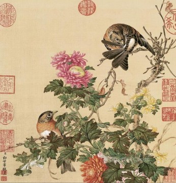  birds - Lang shining birds 1 old China ink Giuseppe Castiglione